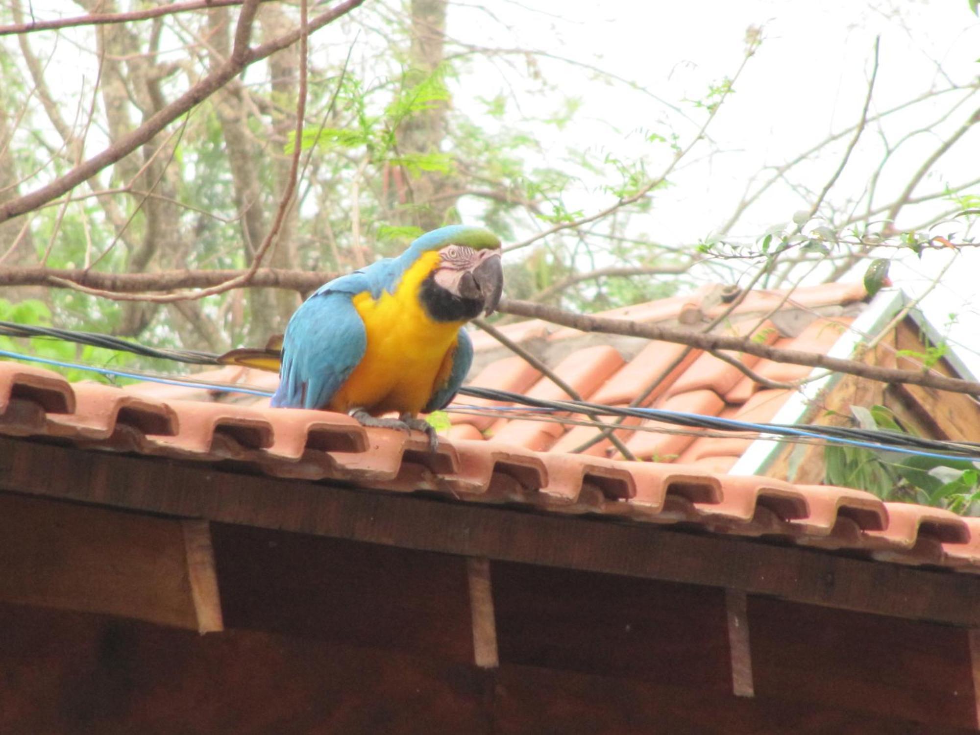 Eco Pousada Villa Verde Bonito  Exteriér fotografie