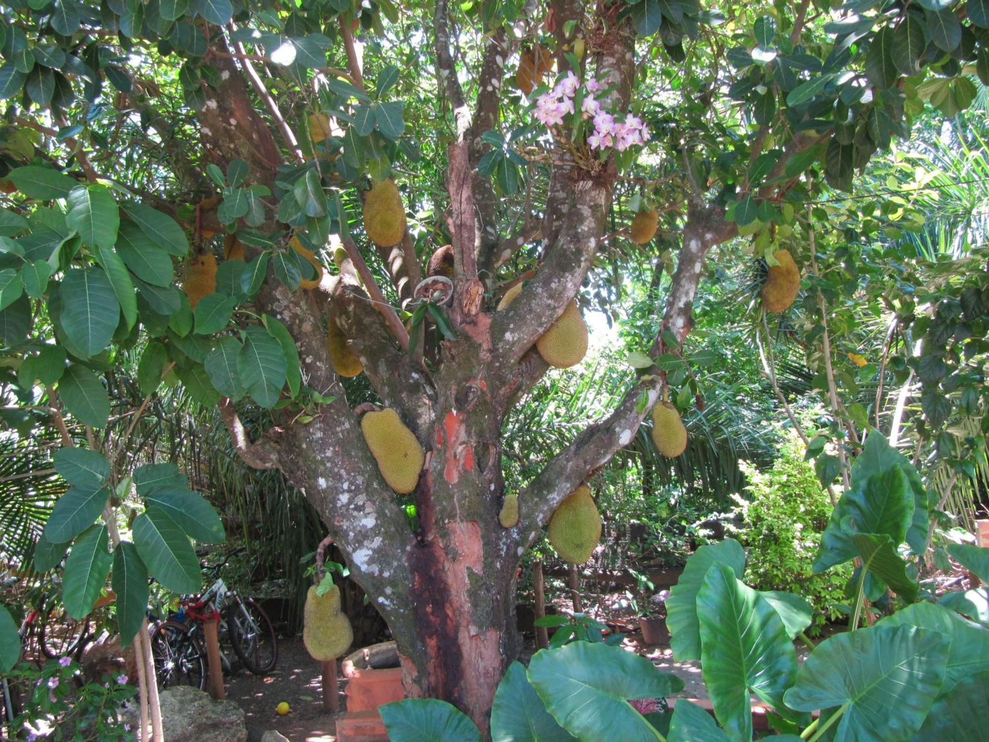 Eco Pousada Villa Verde Bonito  Exteriér fotografie